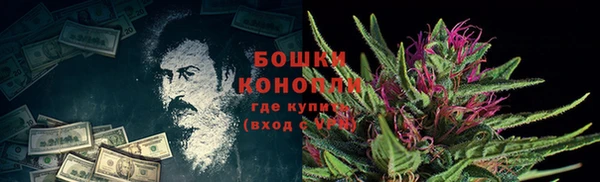 дурь Арсеньев