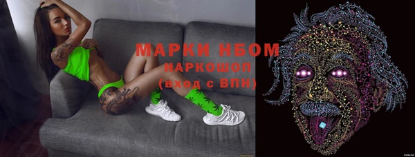 PSILOCYBIN Аркадак