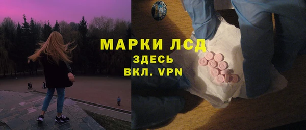 PSILOCYBIN Аркадак