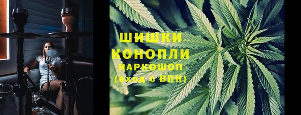 PSILOCYBIN Аркадак