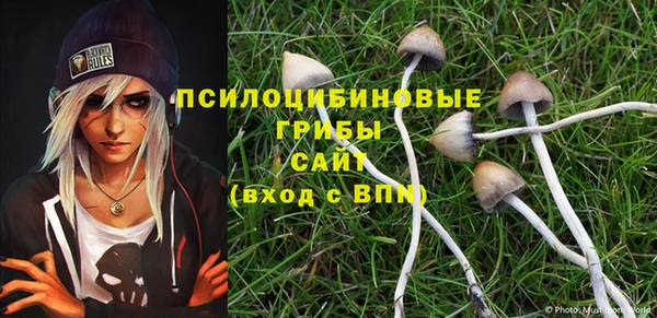 PSILOCYBIN Аркадак