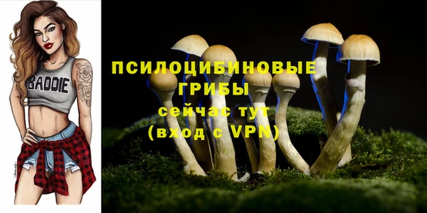 ПСИЛОЦИБИНОВЫЕ ГРИБЫ Ладушкин
